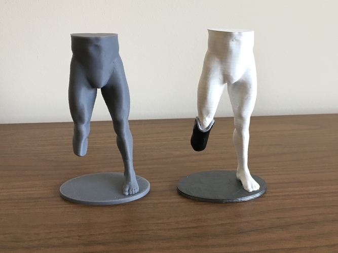 Transtibial (below-knee) limb loss/difference model for prosthet 3D Print 184392