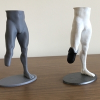 Transtibial (below-knee) limb loss/difference model for prosthet - Thumbnail 5