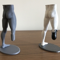 Transtibial (below-knee) limb loss/difference model for prosthet - Thumbnail 6