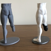 Transtibial (below-knee) limb loss/difference model for prosthet - Thumbnail 7