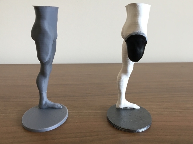 Transfemoral (above-knee) limb loss/difference model for prosthe 3D Print 184401