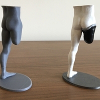 Transfemoral (above-knee) limb loss/difference model for prosthe - Thumbnail 6