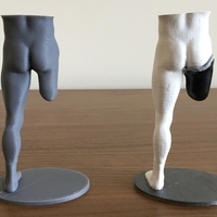 Transfemoral (above-knee) limb loss/difference model for prosthe - Thumbnail 7