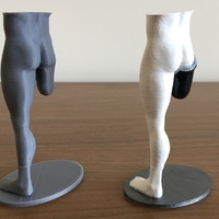 Transfemoral (above-knee) limb loss/difference model for prosthe - Thumbnail 8