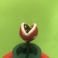 Video Game Automata - Thumbnail 3