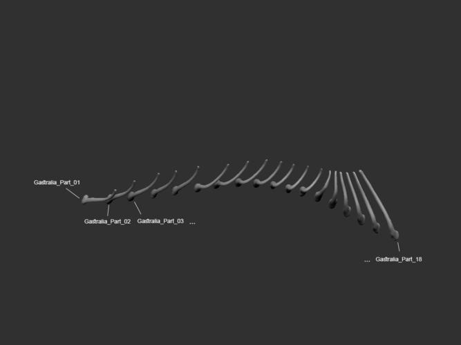 Full Size Velociraptor Skeleton Part01/05 3D Print 184812
