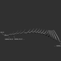 Full Size Velociraptor Skeleton Part01/05 - Thumbnail 4