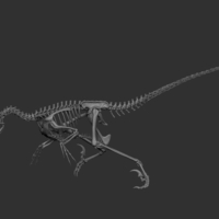 Full Size Velociraptor Skeleton Part01/05 - Thumbnail 5