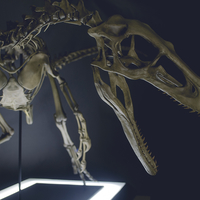Full Size Velociraptor Skeleton Part01/05 - Thumbnail 7