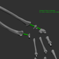 Full Size Velociraptor Skeleton Part02/05 - Thumbnail 5