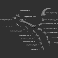 Full Size Velociraptor Skeleton Part02/05 - Thumbnail 6