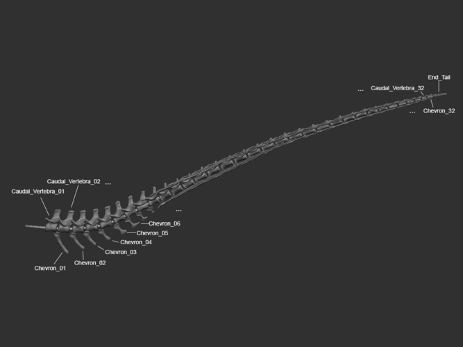 Full Size Velociraptor Skeleton Part04/05 3D Print 184838