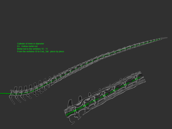 Full Size Velociraptor Skeleton Part04/05 3D Print 184839