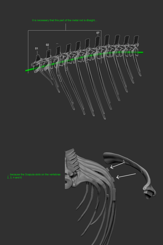 Full Size Velociraptor Skeleton Part03/05 3D Print 184846