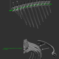 Full Size Velociraptor Skeleton Part03/05 - Thumbnail 3