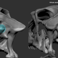 Full Size Velociraptor Skeleton Part05/05 - Thumbnail 2