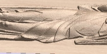 Image 184968