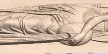 Image 184991
