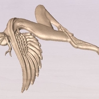 Angel women - Thumbnail 2