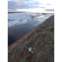 Sun Follower Time lapse machine (the second) - Thumbnail 3