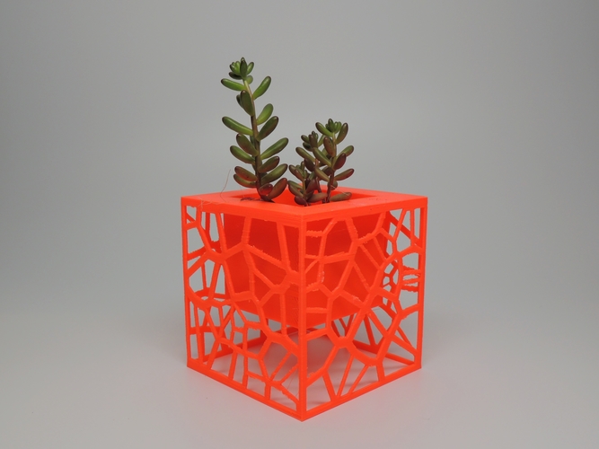 Voronoi Planter 3D Print 185489
