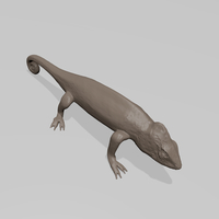 Chameleon - Thumbnail 1