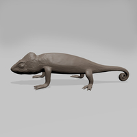 Chameleon - Thumbnail 2