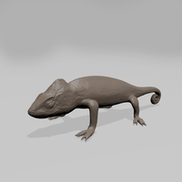 Small Chameleon 3D Printing 185521