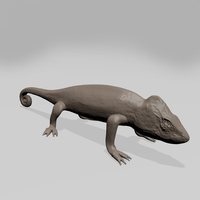 Chameleon - Thumbnail 4