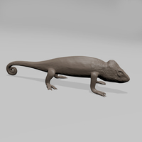 Chameleon - Thumbnail 5