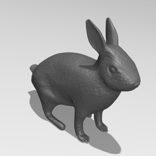 Rabbit 3D Print 185524