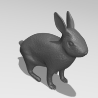 Rabbit - Thumbnail 1
