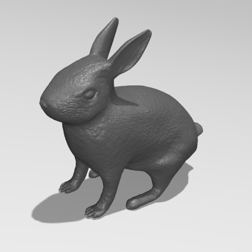 Rabbit 3D Print 185525