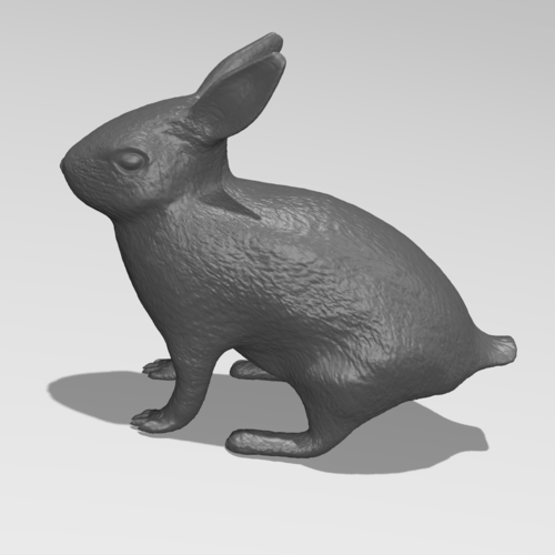 Rabbit 3D Print 185526