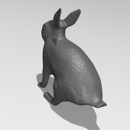 Rabbit 3D Print 185527
