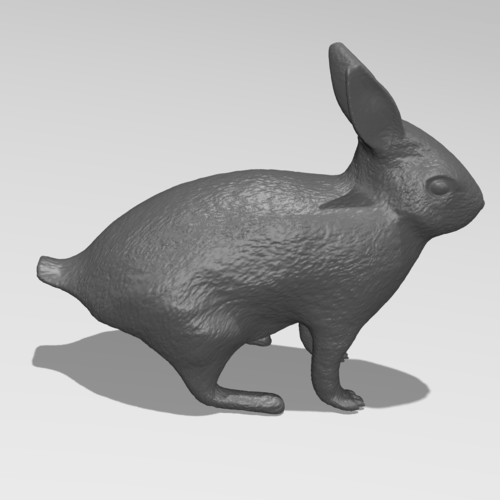 Rabbit 3D Print 185528