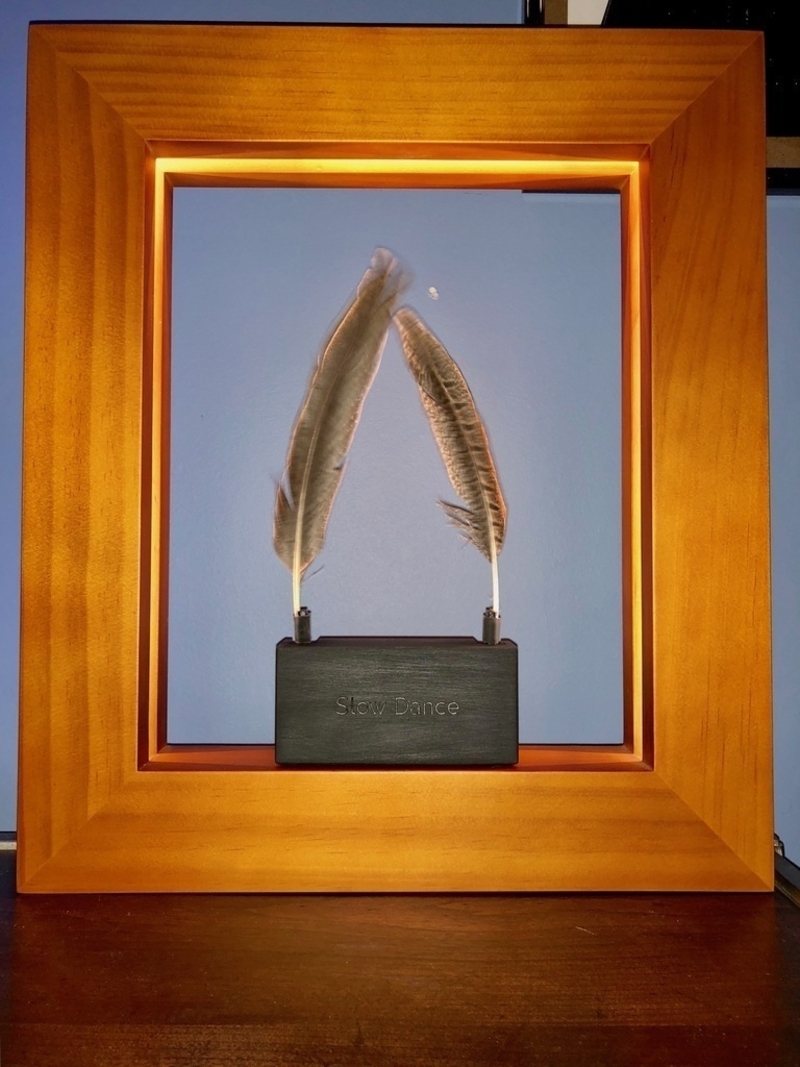 Cover for Slow Dance