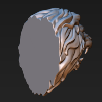 Lion head - Thumbnail 6