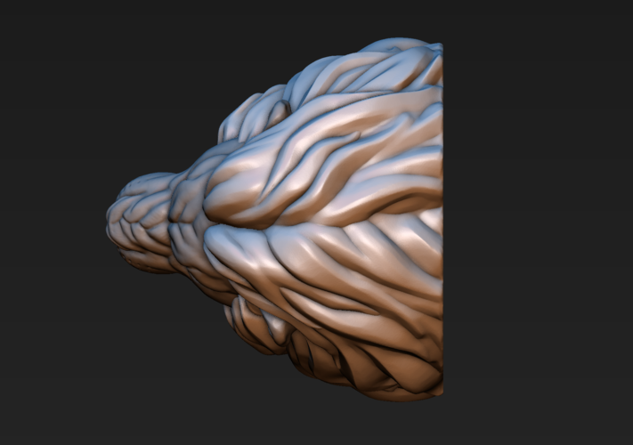 Lion head 3D Print 185763