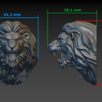 Lion head - Thumbnail 20