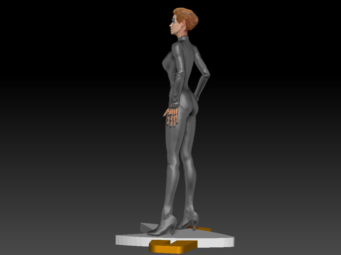 Star Trek Seven of Nine figurine. Jeri Ryan. 3D Print 185818