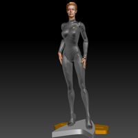 Star Trek Seven of Nine figurine. Jeri Ryan. - Thumbnail 19