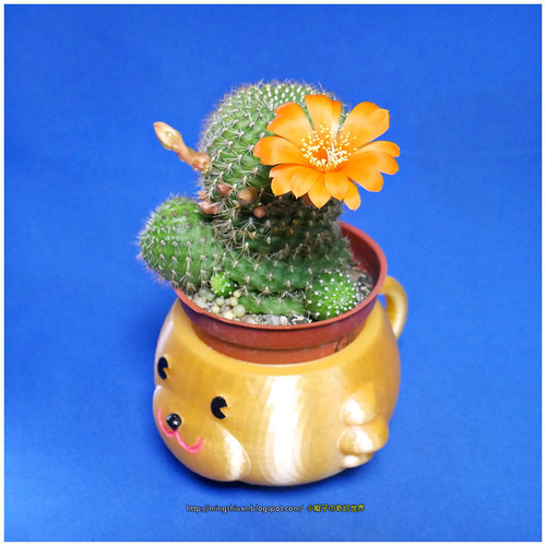 Mugs bear potted plants 3D Print 186055