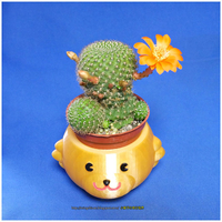 Mugs bear potted plants - Thumbnail 3