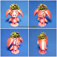 Cute animal - Rose pig potted - Thumbnail 2