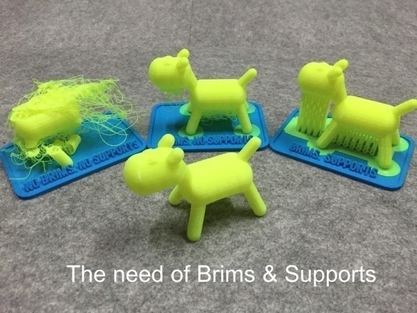 Brims & Supports for learning 3D printer