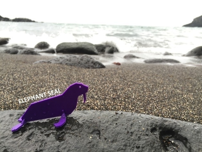 3D Printed Simple Animals 14 - Sea by Eunny | Pinshape