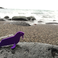 Simple Animals 14 - Sea - Thumbnail 2