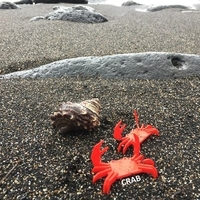 Simple Animals 14 - Sea - Thumbnail 3