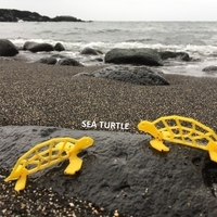 Simple Animals 14 - Sea - Thumbnail 4
